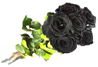 [تصویر: a4522_Rose.png]