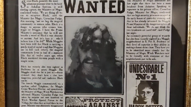 تصویر تغییر اندازه داده شده