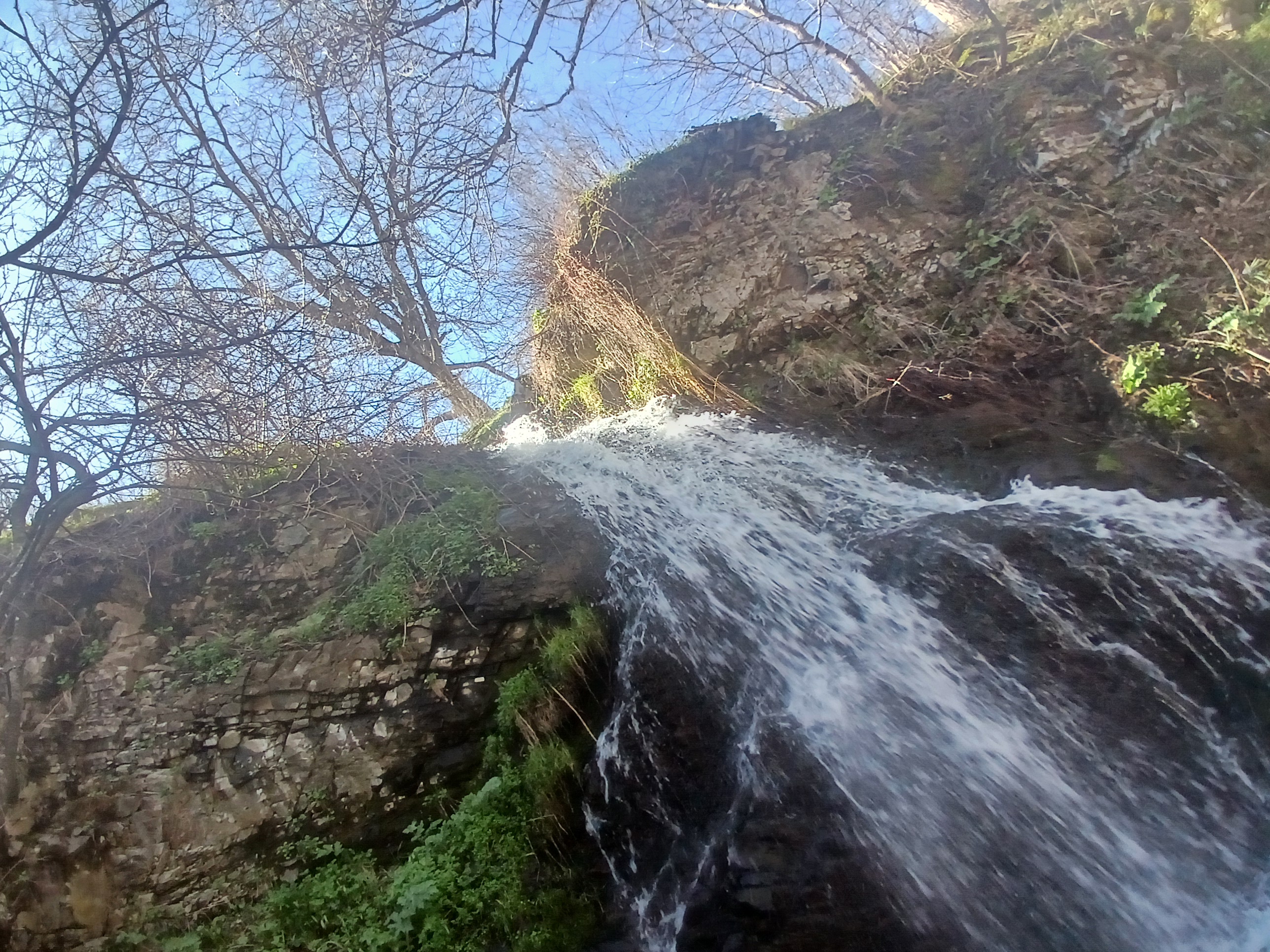 d03420__.jpg