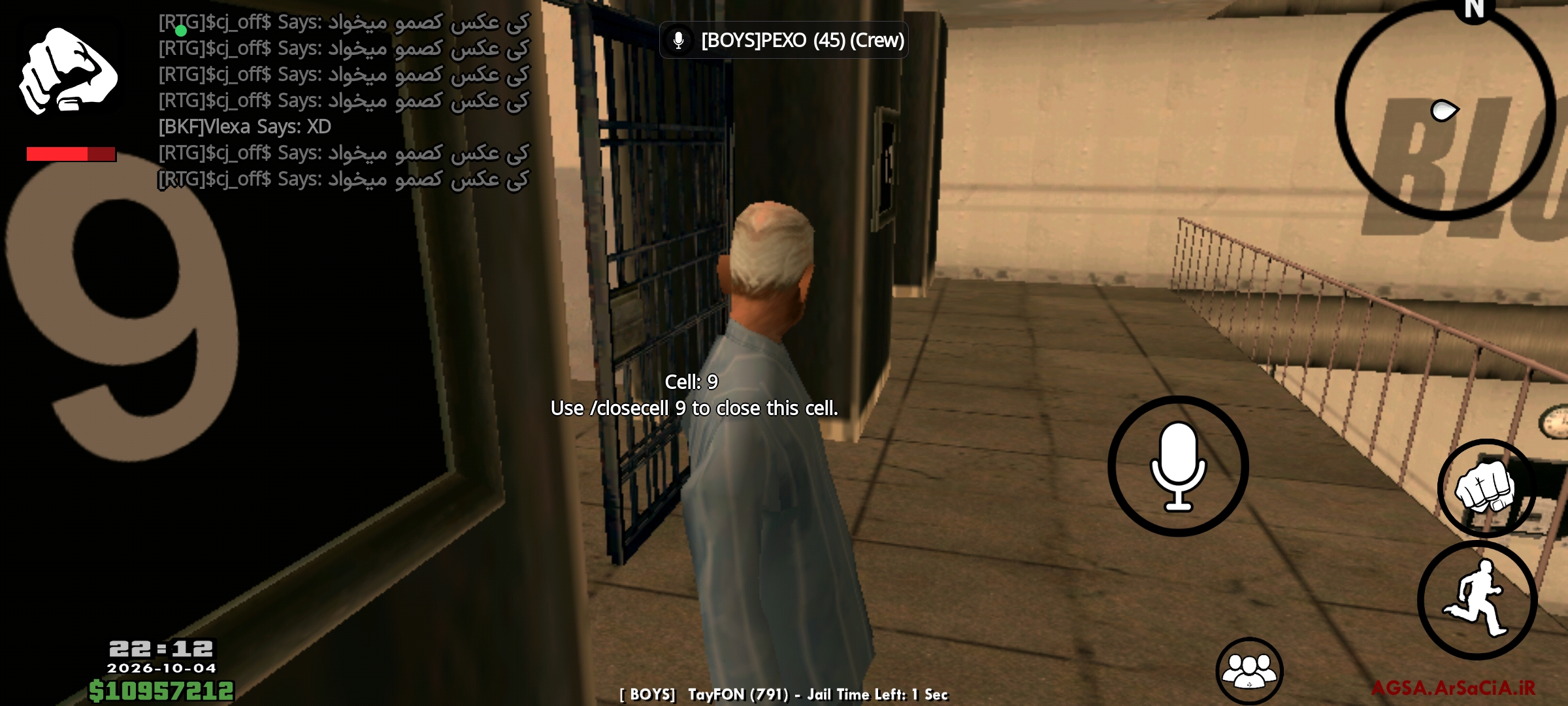 d118575_Screenshot_------_ir.arsacia.sa.
