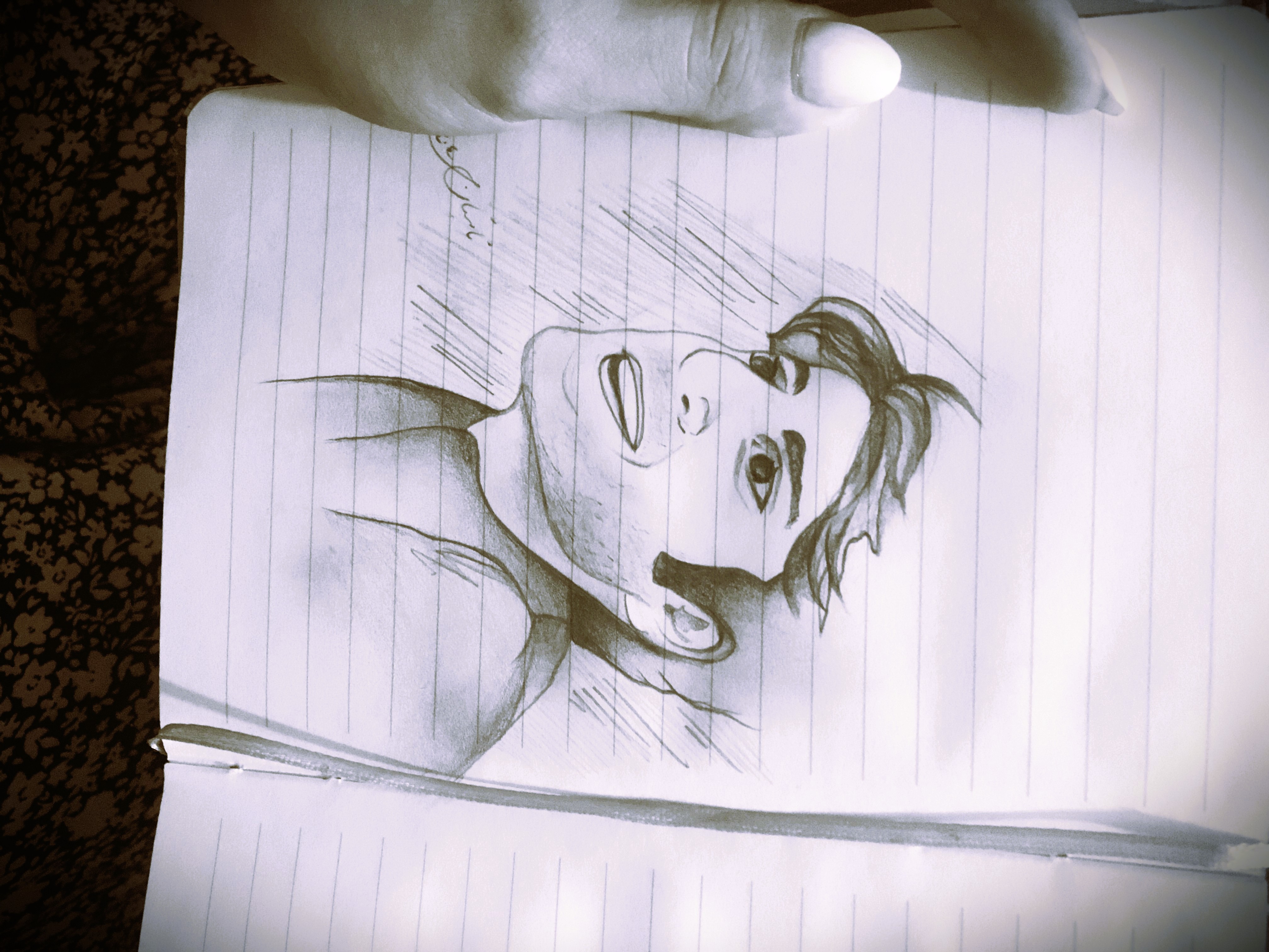 d41860_v303228_IMG_2709.jpg (4032×3024)