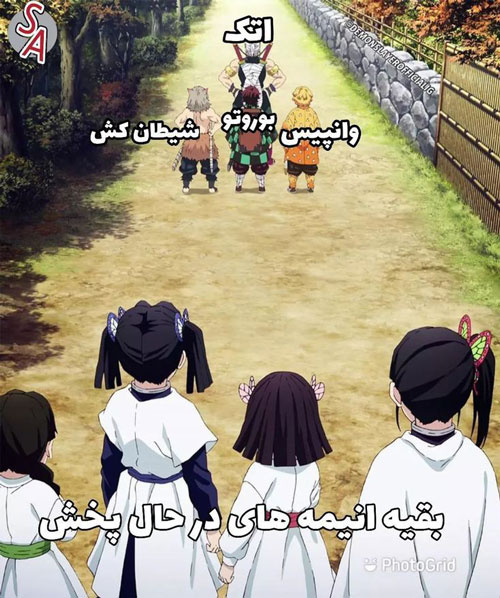 میم بیگ تری