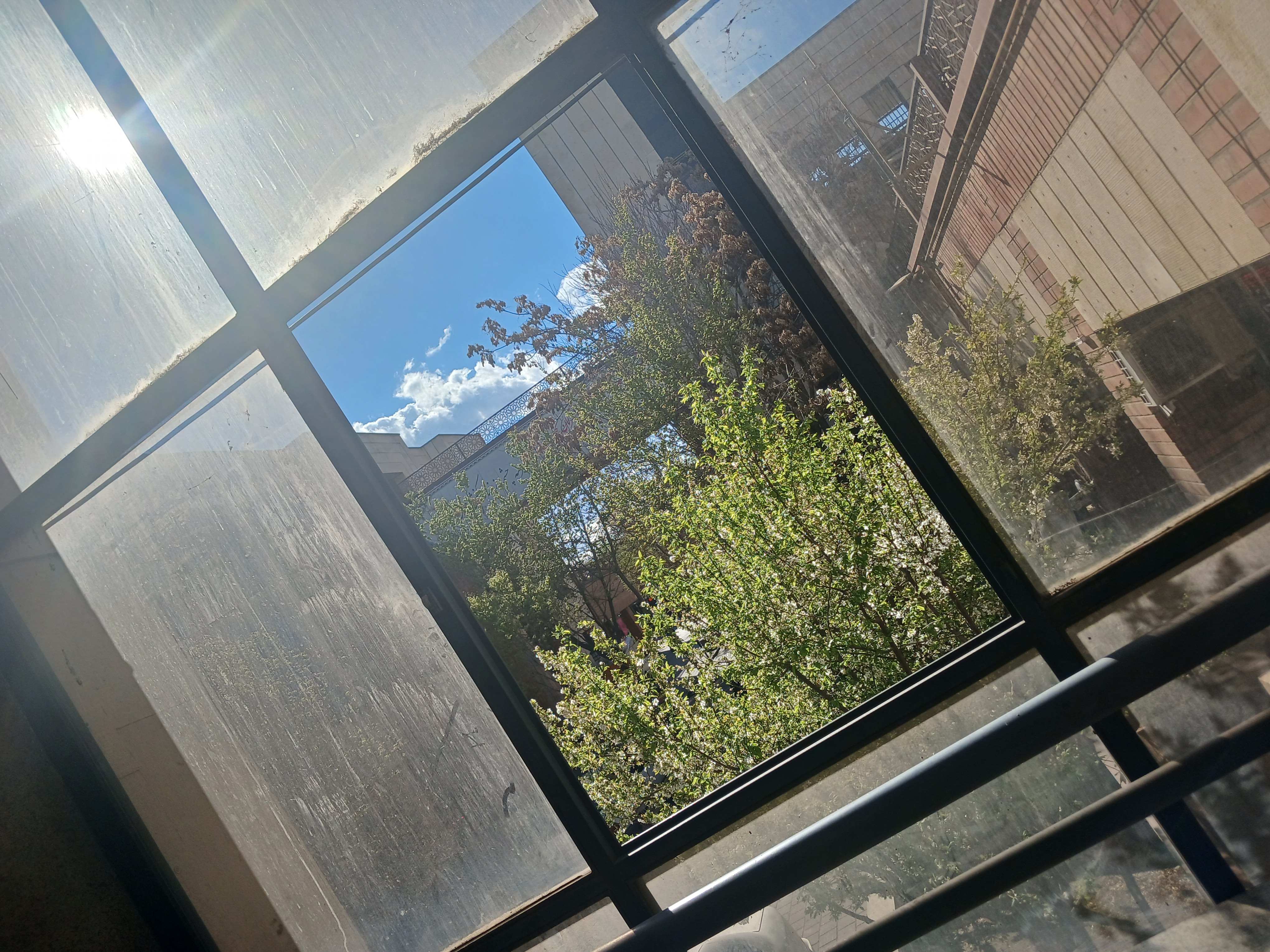 e942117__.jpg