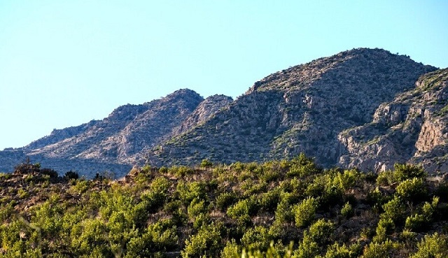 خبرنگاری که موفق به مجاب کردن مسئولان برای خاموشی آتش تشگر شد