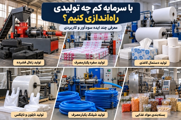 با سرمایه کم چه تولیدی راه‌اندازی کنیم که سود داشته باشد؟