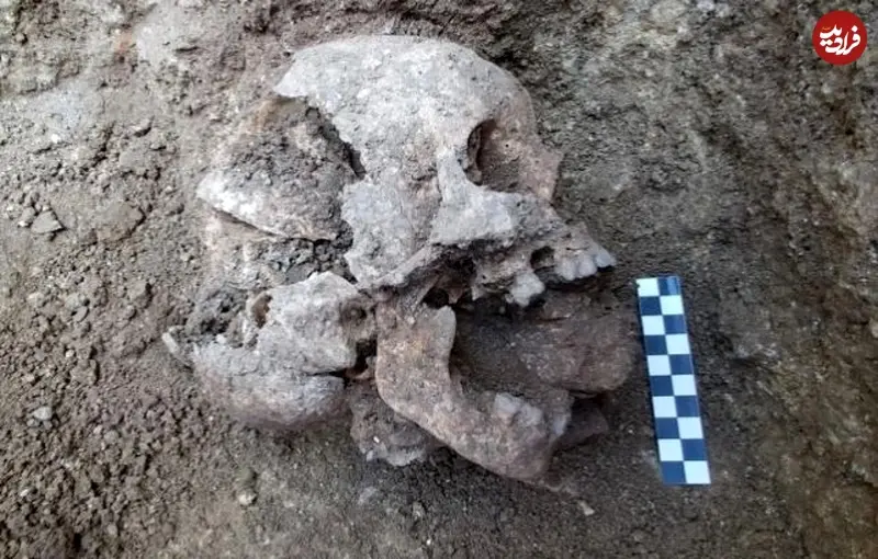 j63913_4.webp