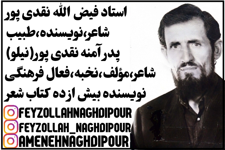 بيوگرافي آمنه نقدي پور شاعر و مؤلف و نخبه فرزند فيض الله نقدي پور