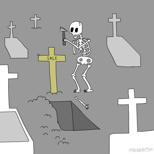 m309044_38a2e741-b4ac-4a40-b939-4c290432b7b6.gif