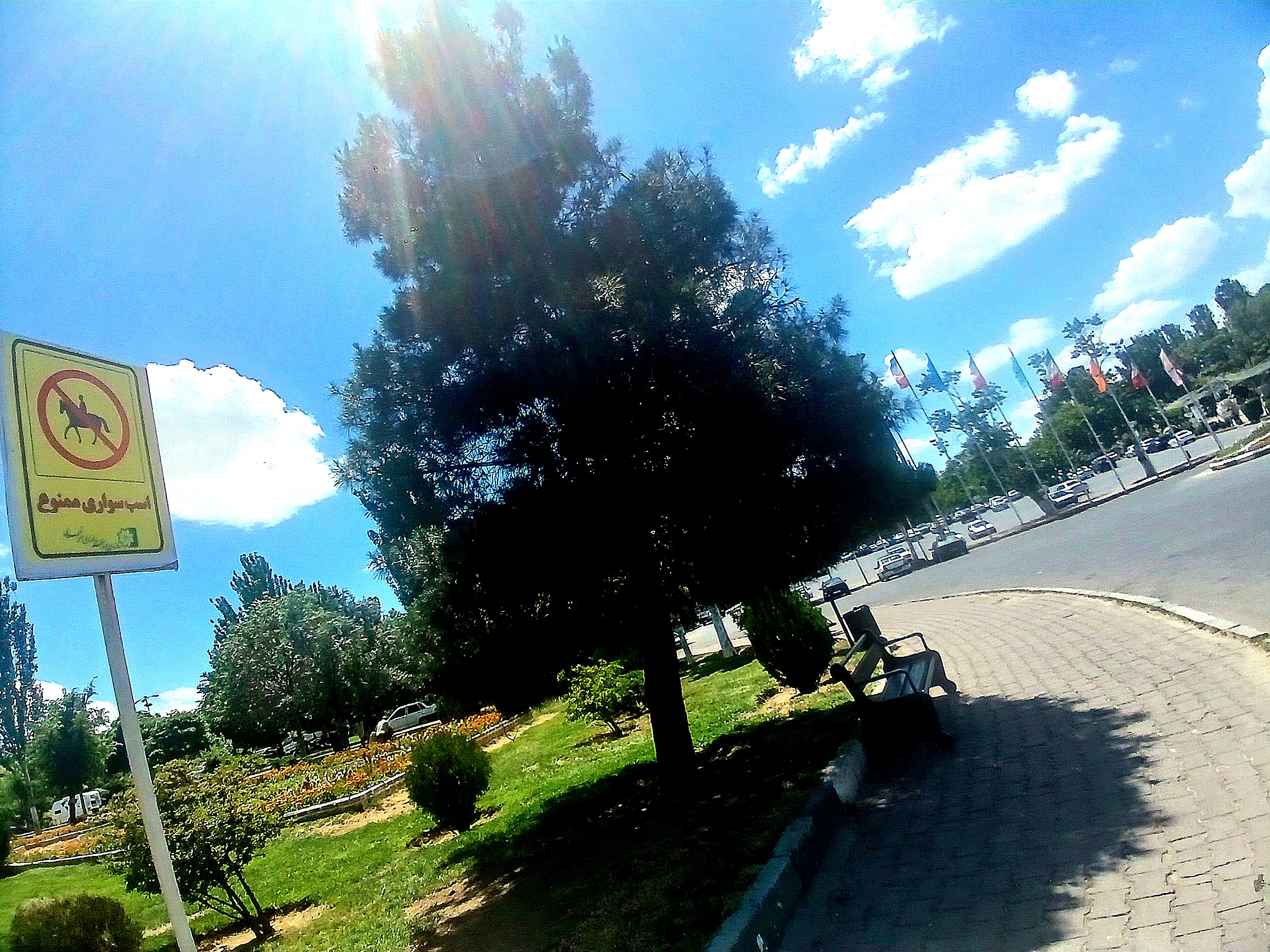n000294__.jpg