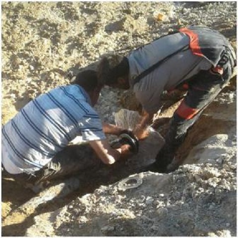 تشریح عملکرد شورای اسلامی روستای ناصرآباد بخش جغین/از توسعه زیرساخت‌ها تا رفع محرومیت