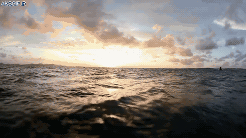 n52651_nody--1620967508.gif