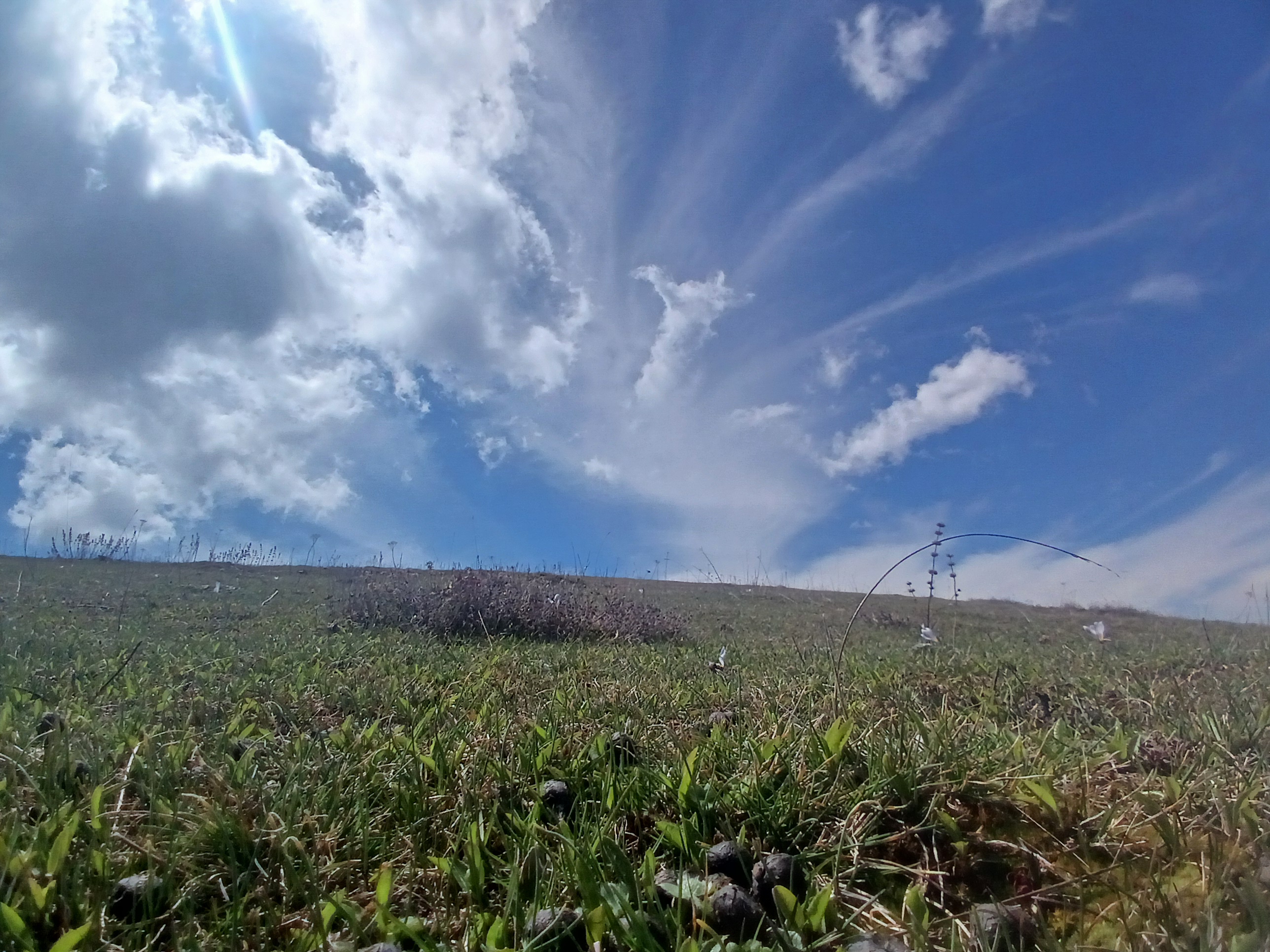 n810258__.jpg