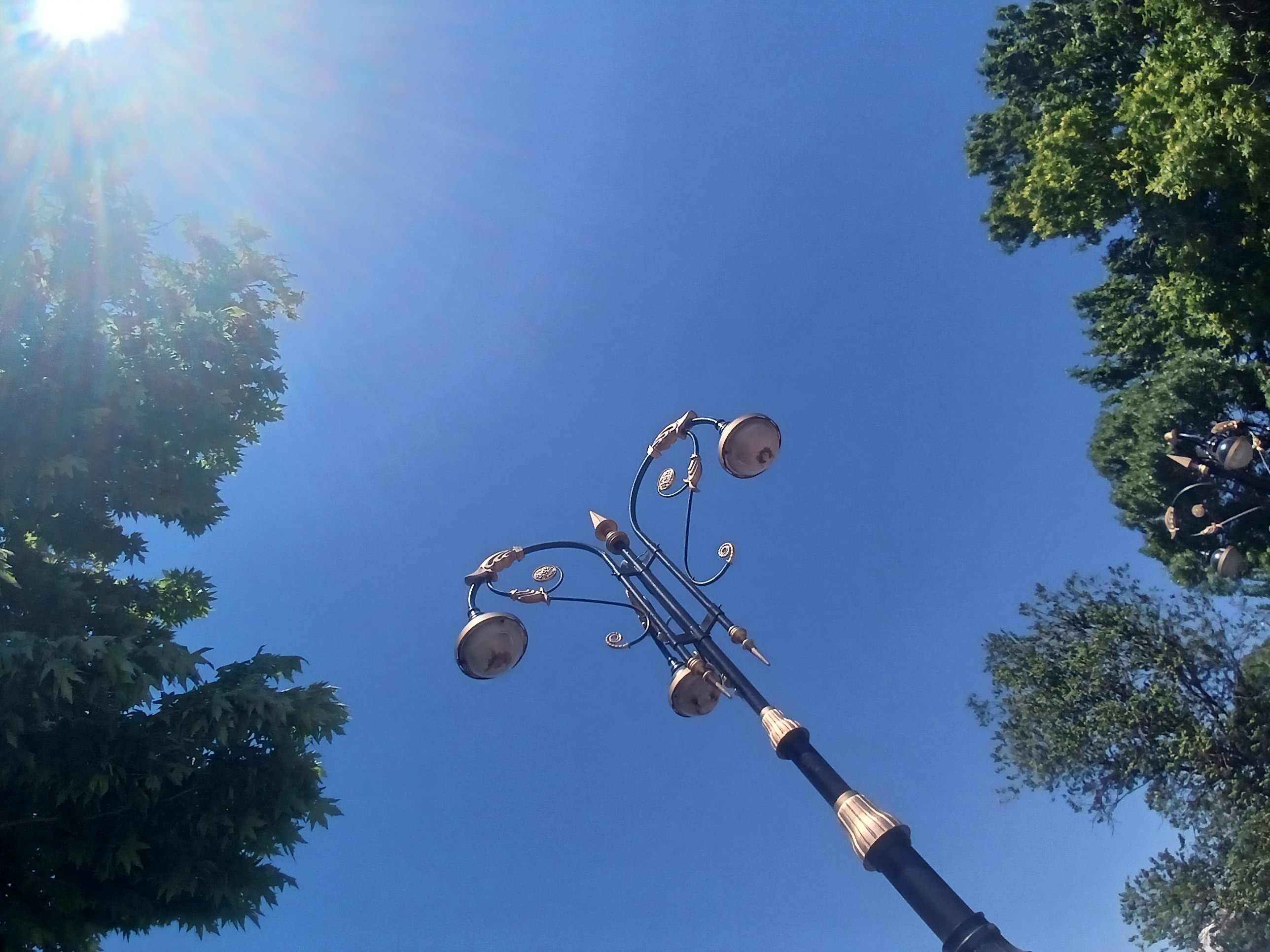 o045223__.jpg