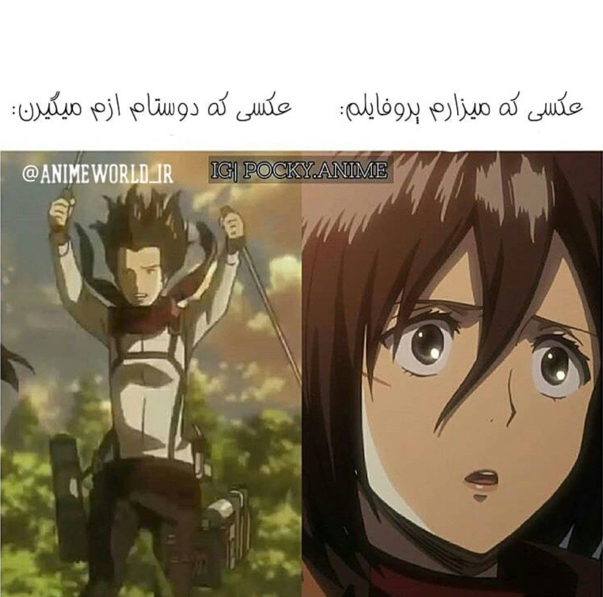 میم انیمه 2026