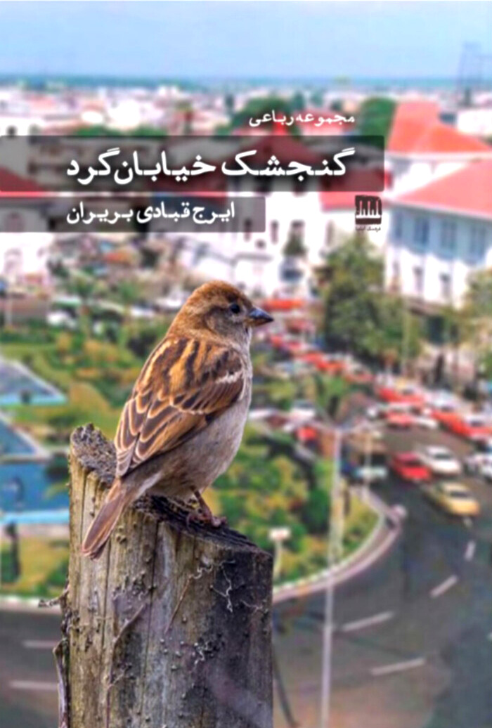 گنجشک خیابان گرد