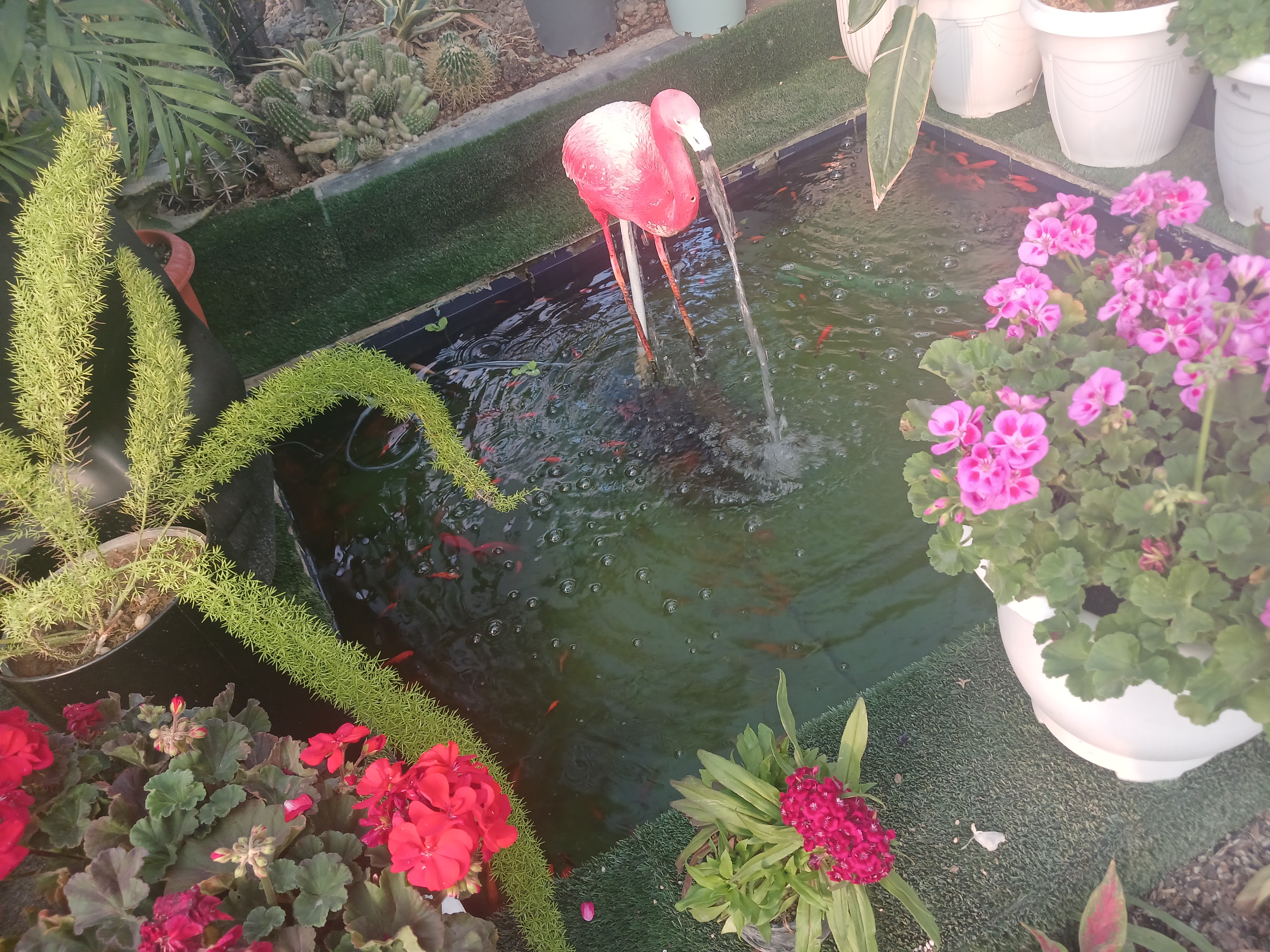 t125869__.jpg