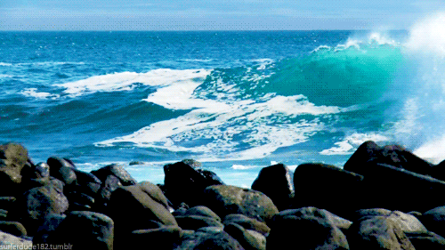 t25149_WorldTravel_-_Idil_Keysan_-_Wikimedia_Giphy_stickers_2019.gif