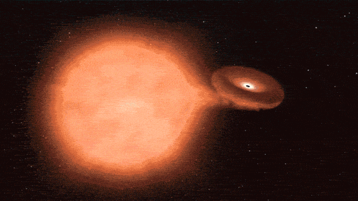 v765627_1557437710256.gif