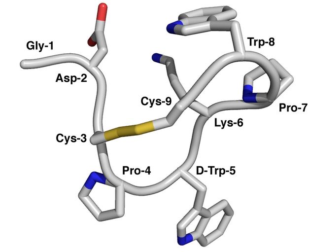w393374_Capture.jpg