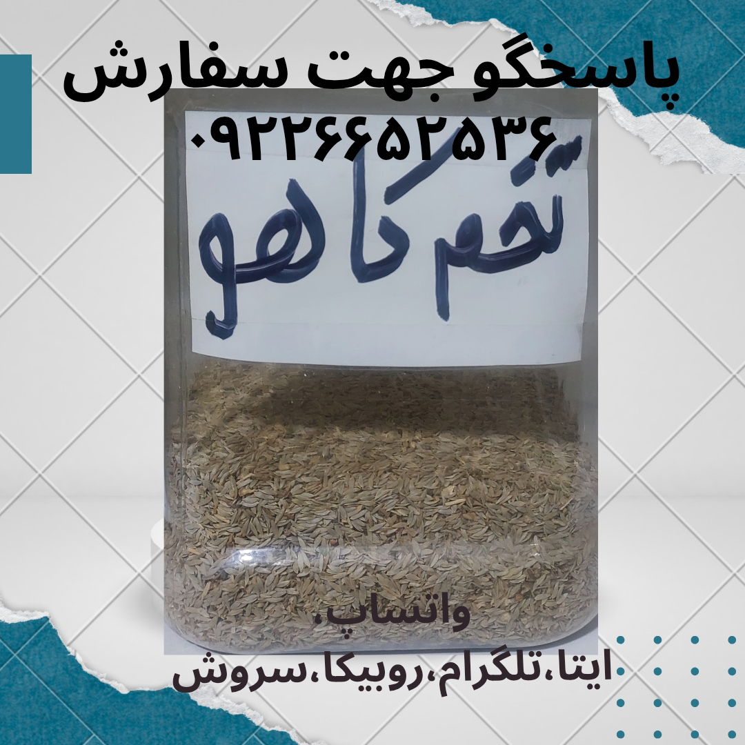 تخم کاهو