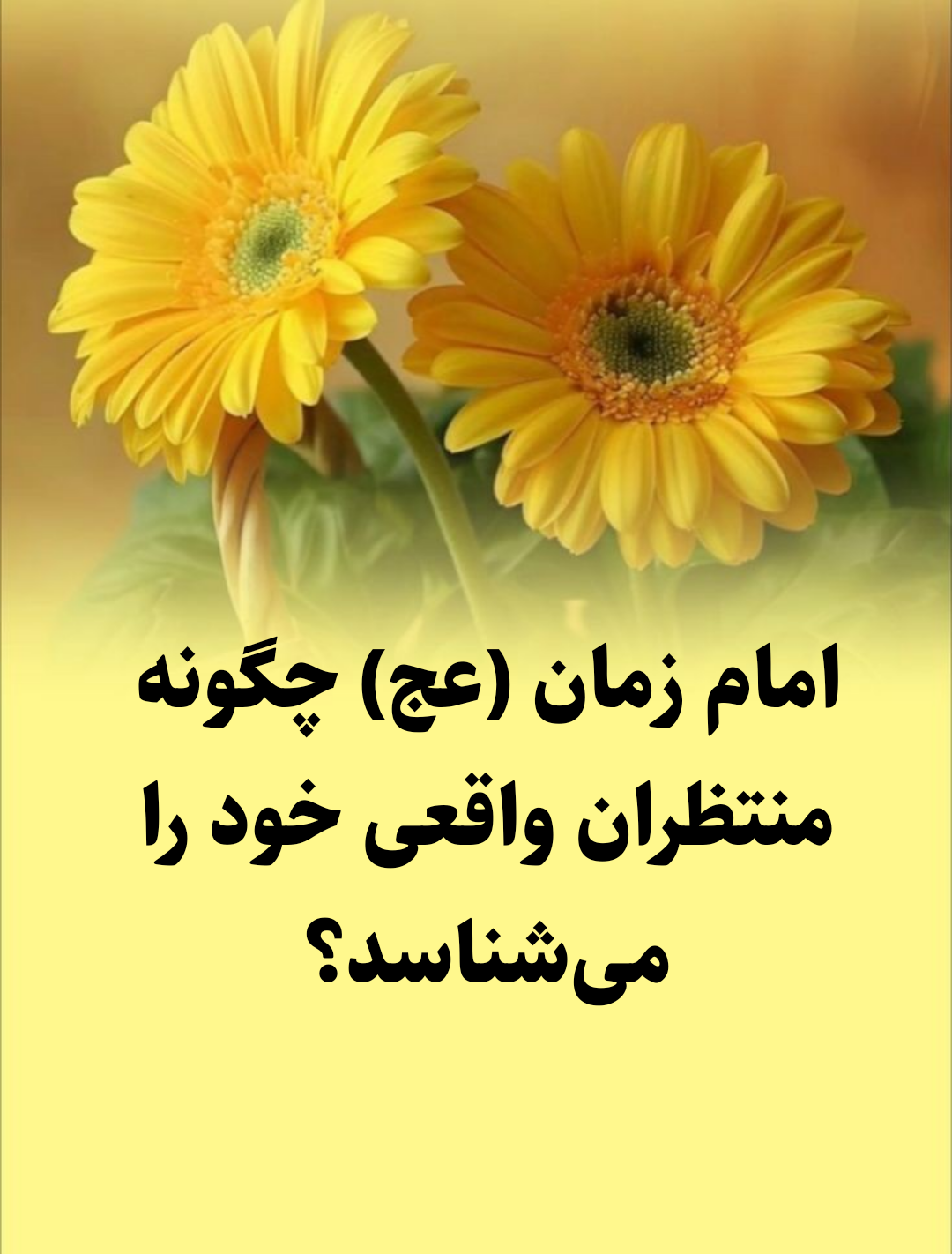 منتظران امام زمان عج 